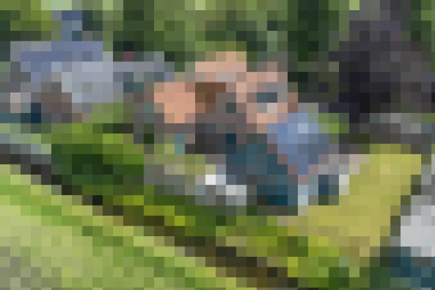 Molenweg 10 Wijdenes thumbnail 6