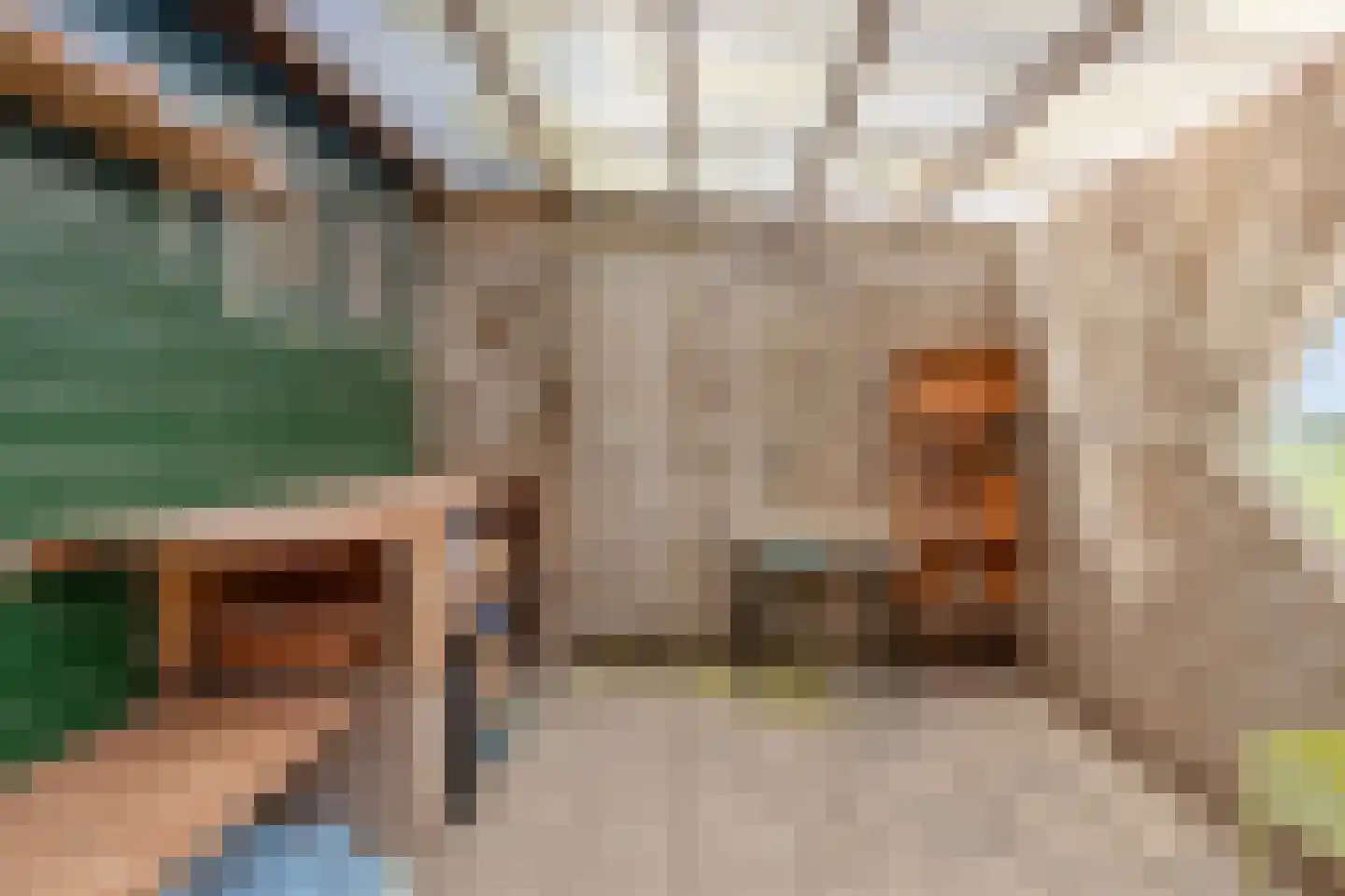 Molenweg 10 Wijdenes thumbnail 62