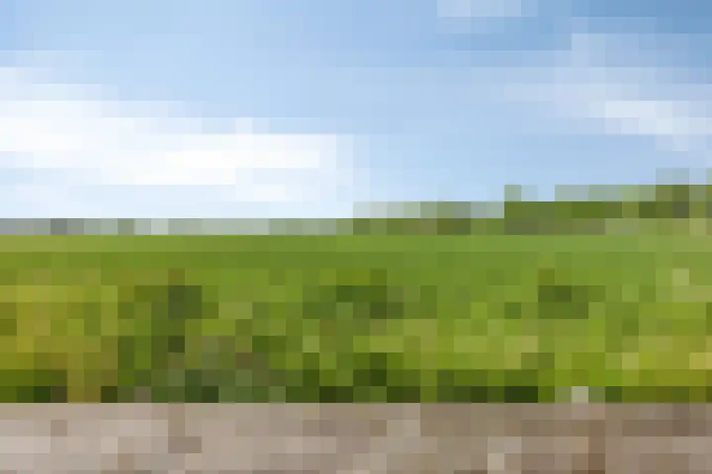 Molenweg 10 Wijdenes thumbnail 67