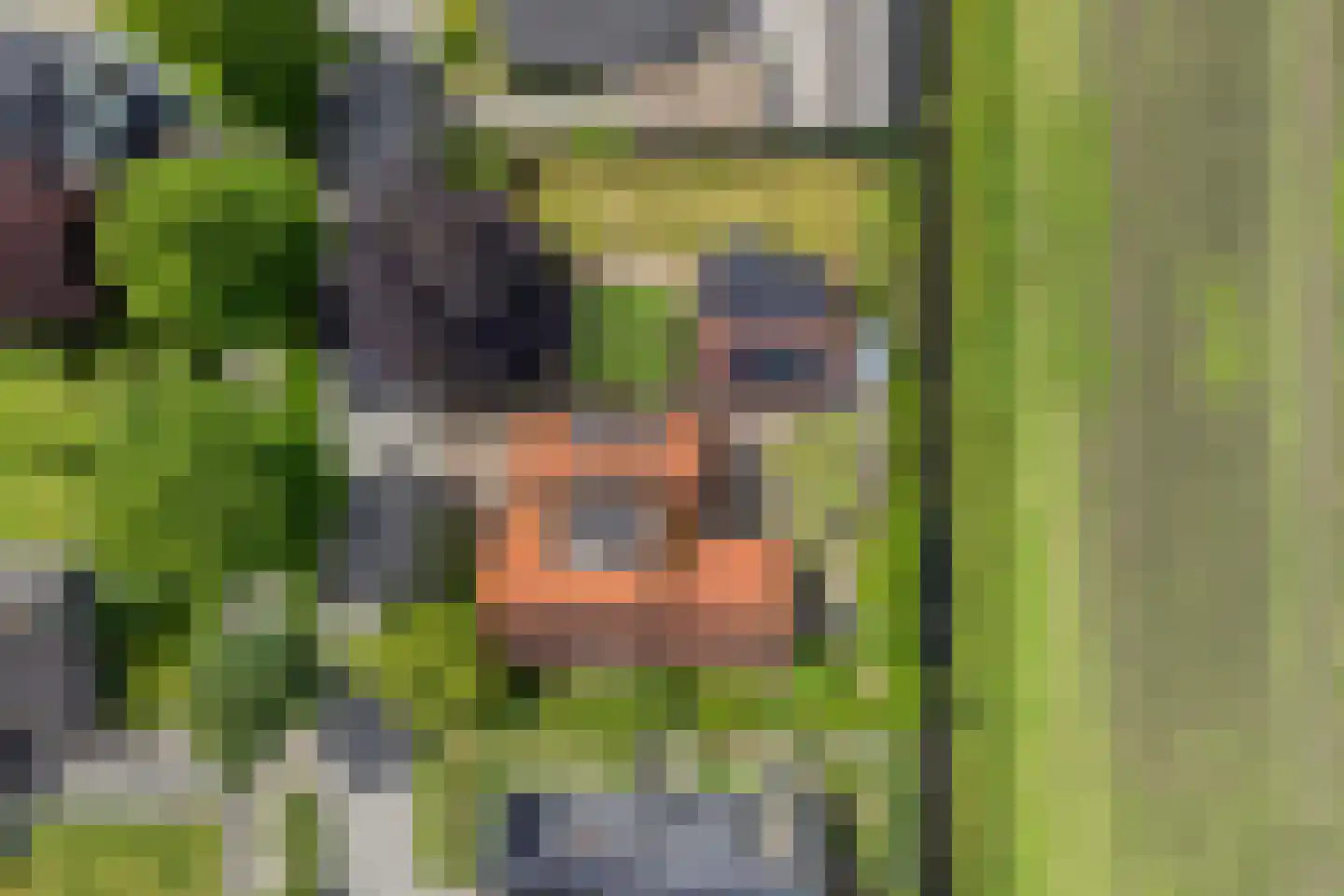 Molenweg 10 Wijdenes thumbnail 7