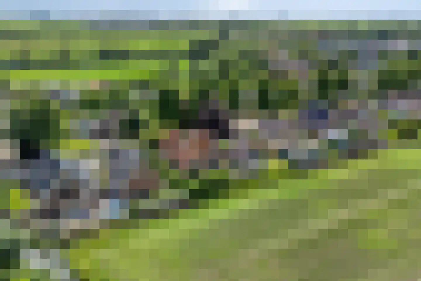 Molenweg 10 Wijdenes thumbnail 9
