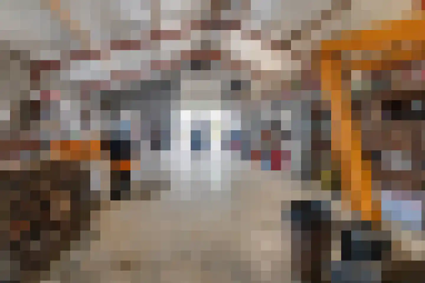 Molenweg 106 Koningsbosch thumbnail 32