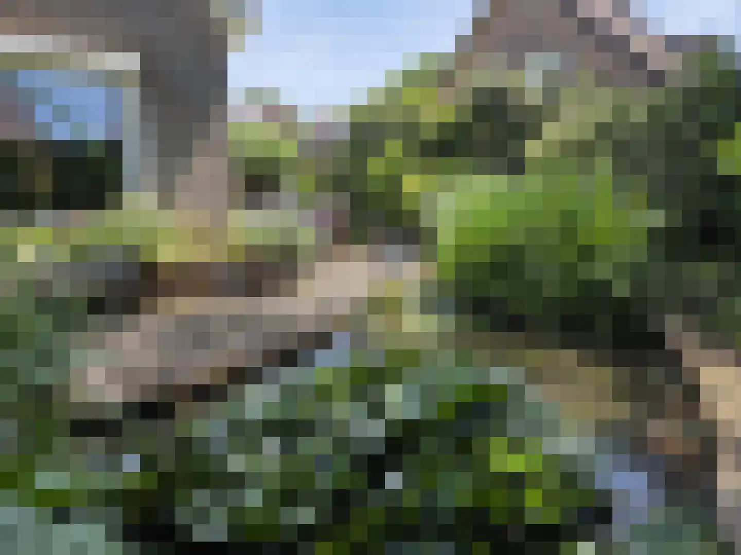 Molenweg 107 Limmen thumbnail 48