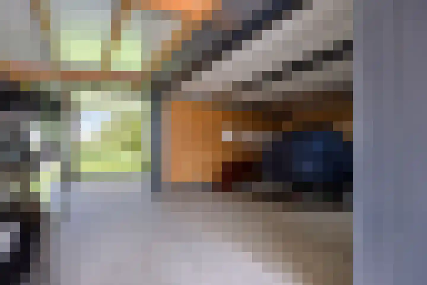 Molenweg 108 Niebert thumbnail 30