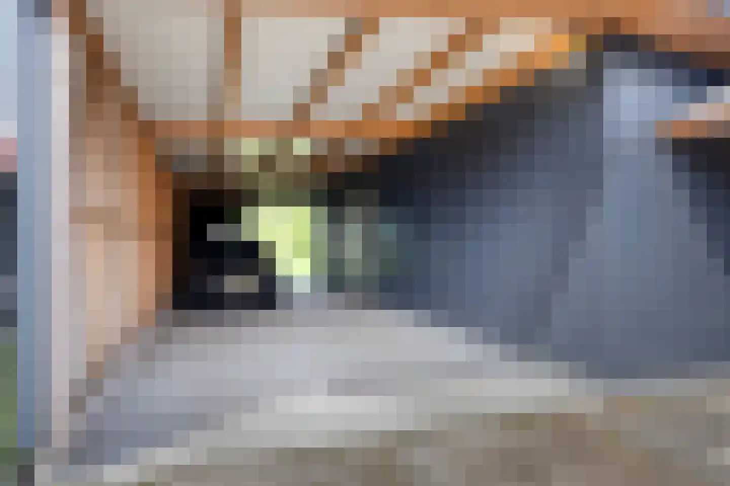 Molenweg 108 Niebert thumbnail 33