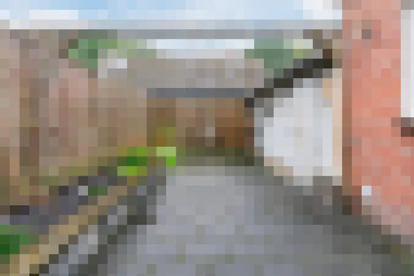 Molenweg 11 Balkbrug thumbnail 39