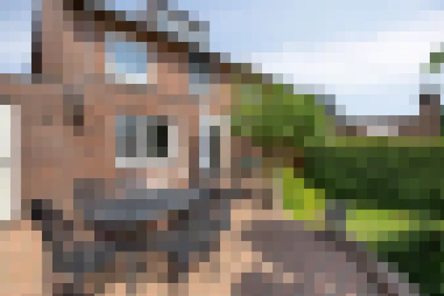 Molenweg 11 Banholt thumbnail 26