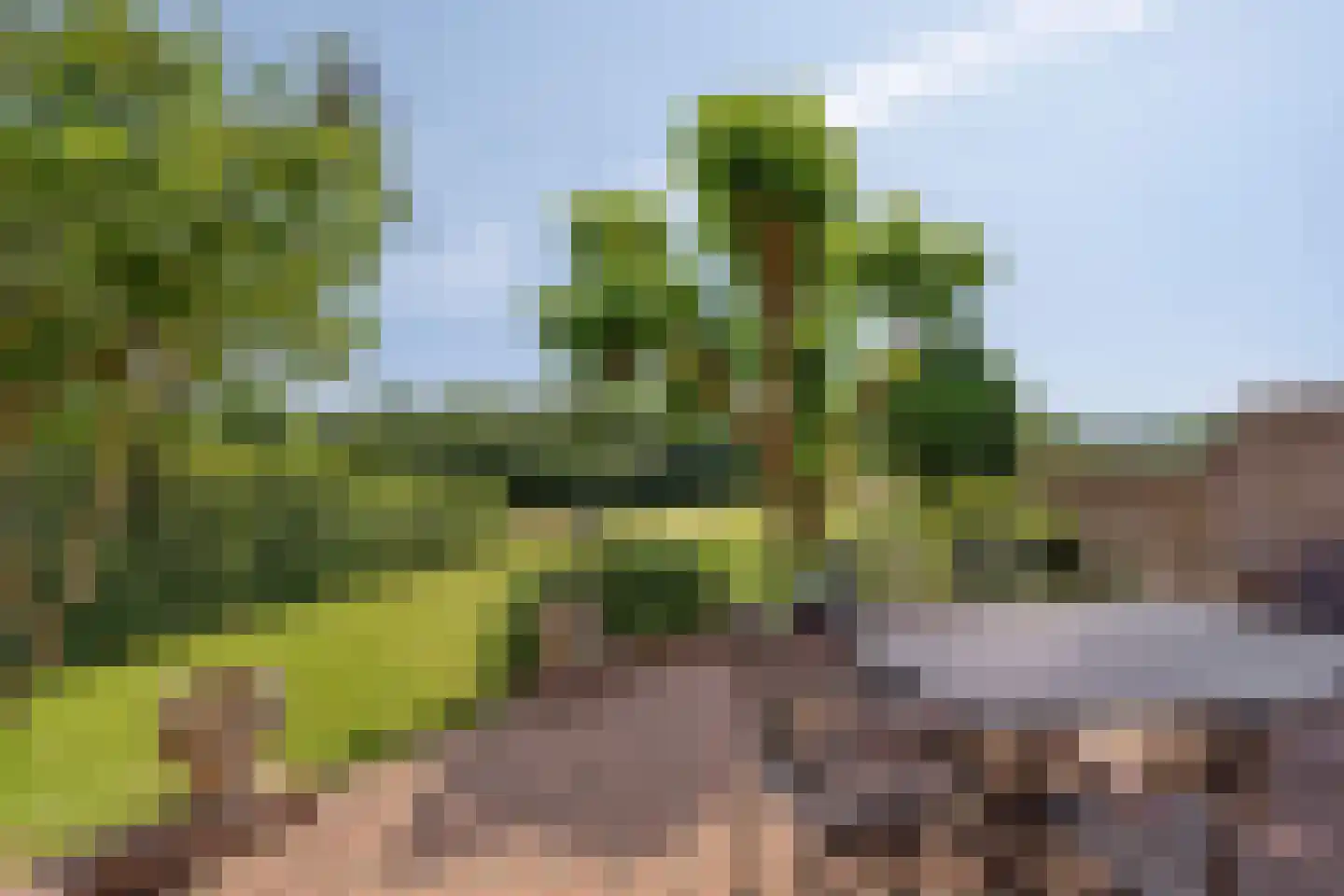 Molenweg 11 Banholt thumbnail 27