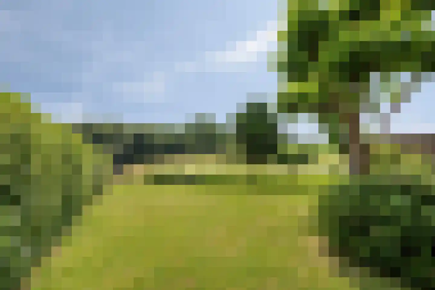 Molenweg 11 Banholt thumbnail 29