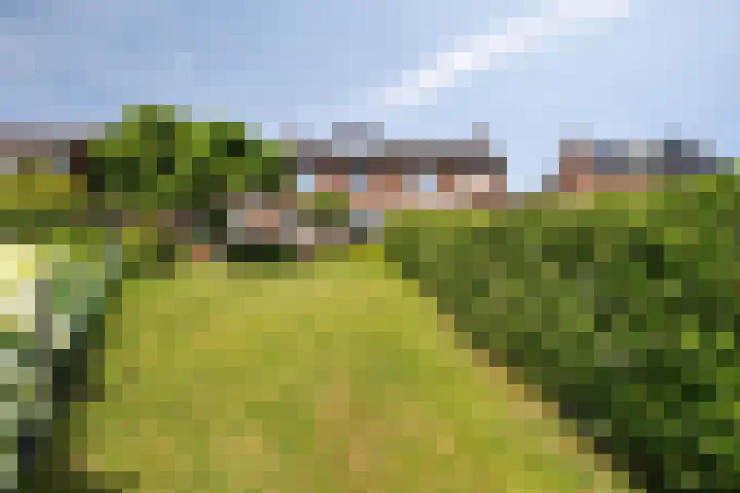 Molenweg 11 Banholt thumbnail 30