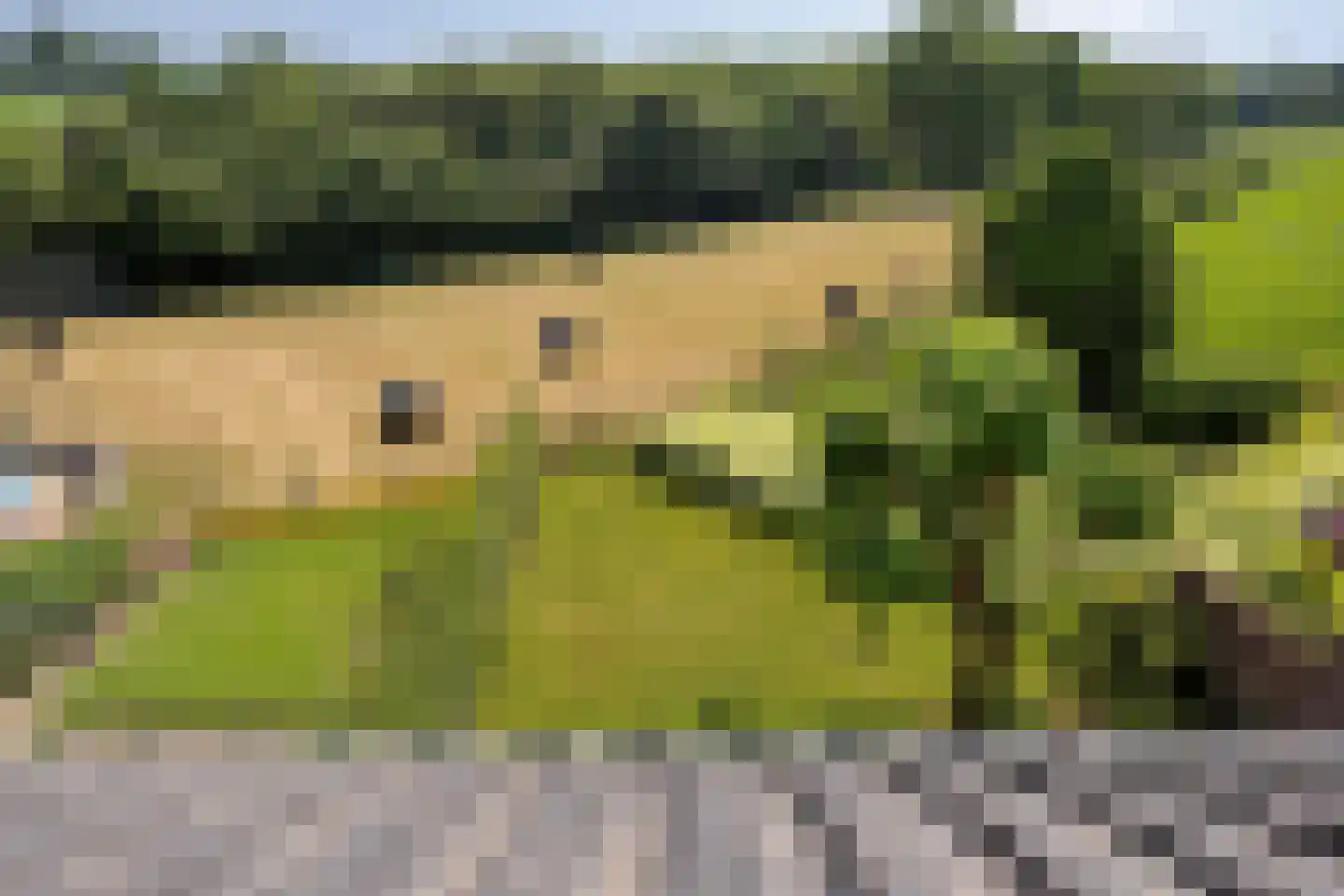 Molenweg 11 Banholt thumbnail 33