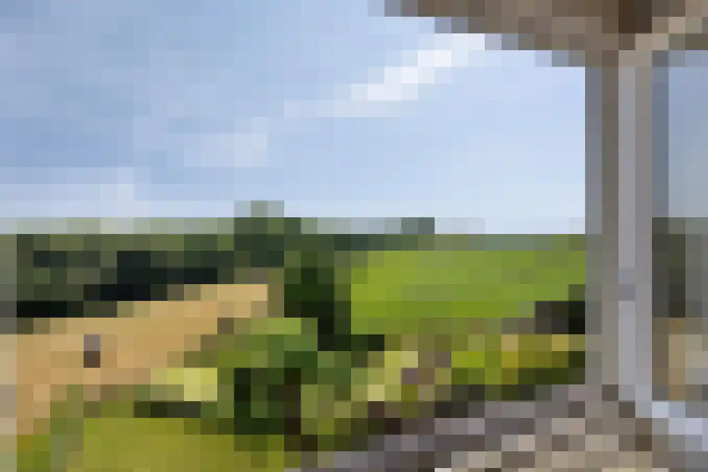 Molenweg 11 Banholt thumbnail 34