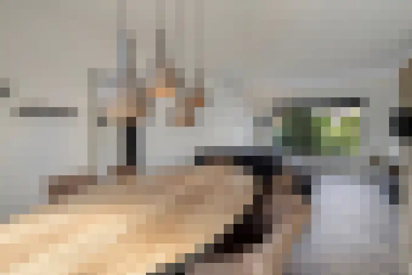 Molenweg 11 Banholt thumbnail 7