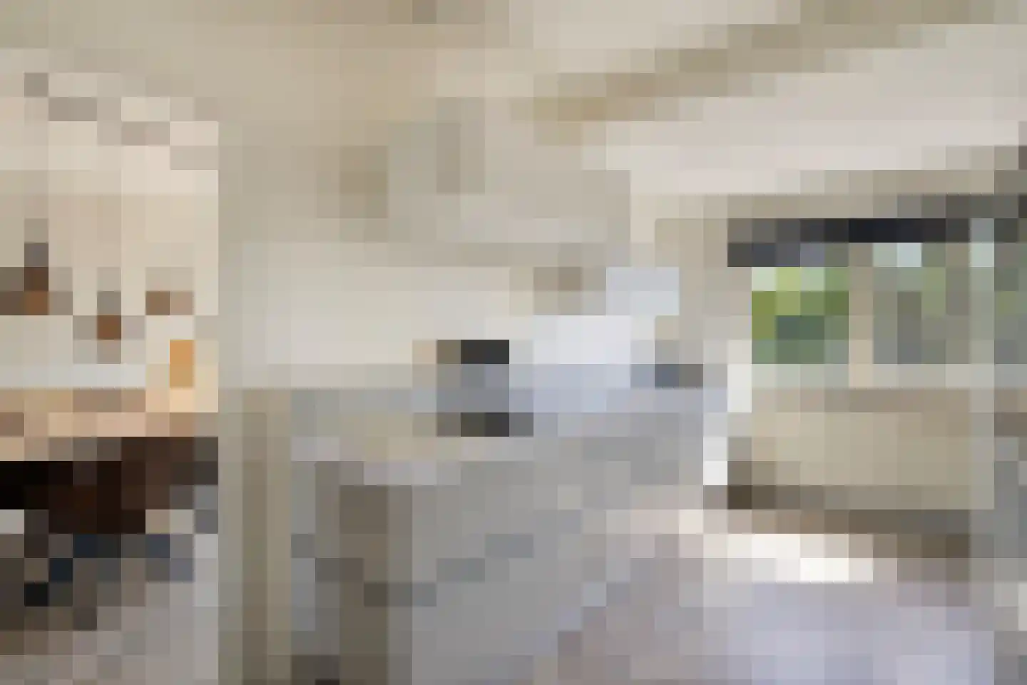 Molenweg 11 Banholt thumbnail 8