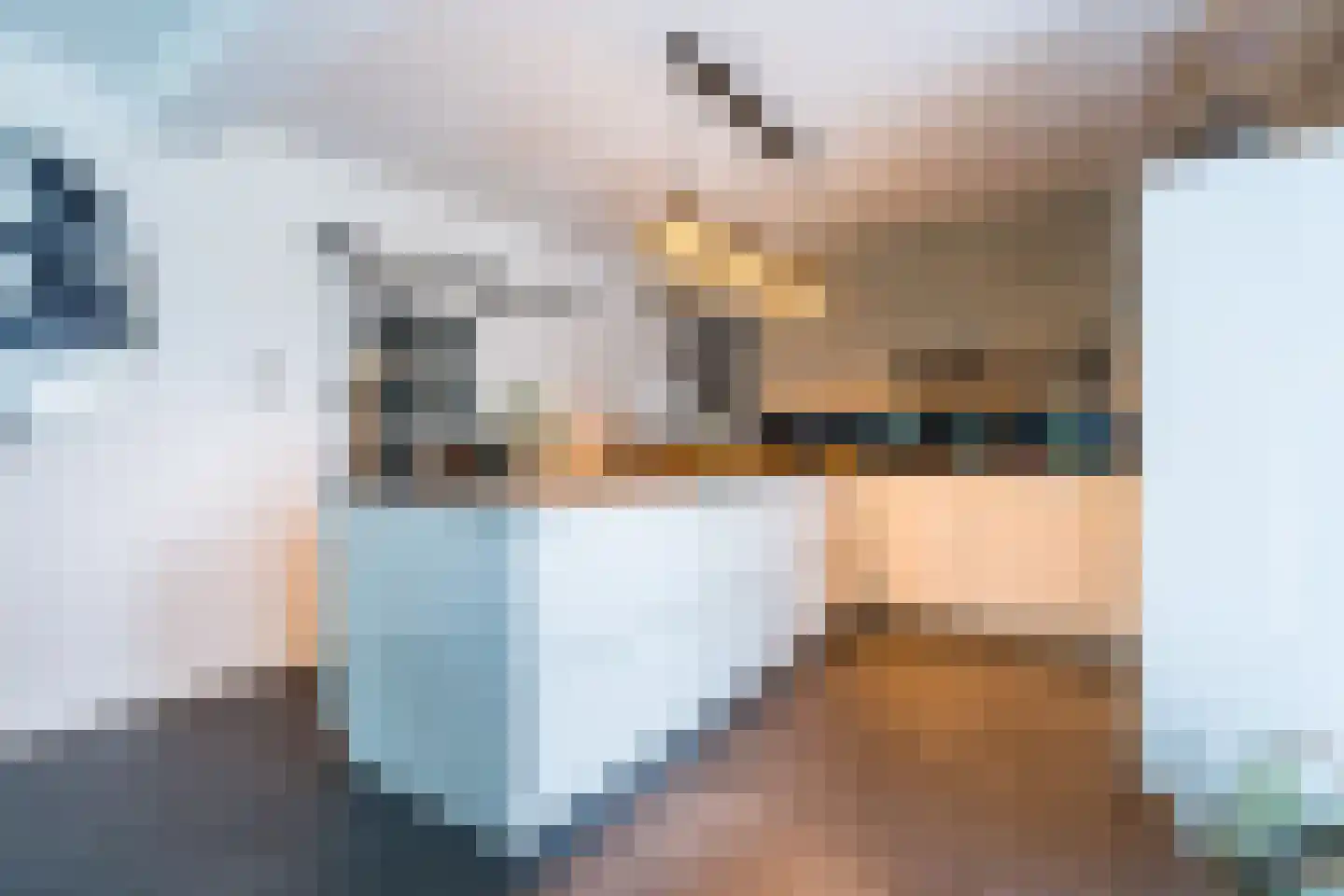 Molenweg 11 C Stramproy thumbnail 10