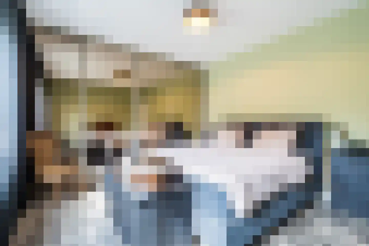 Molenweg 11 C Stramproy thumbnail 15
