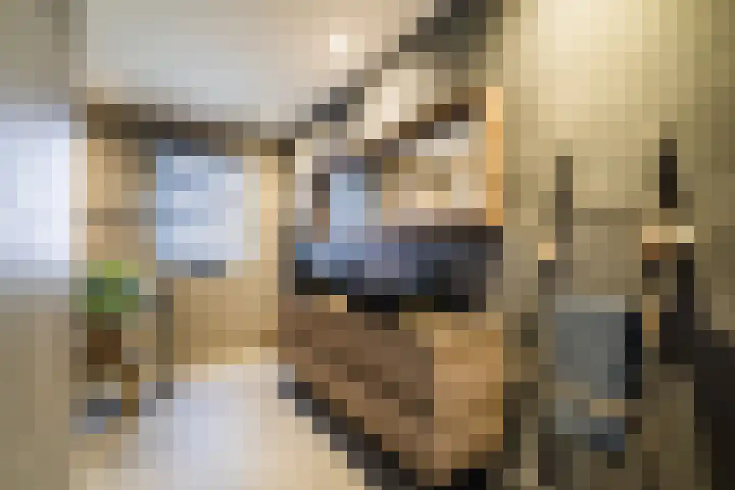 Molenweg 11 C Stramproy thumbnail 17