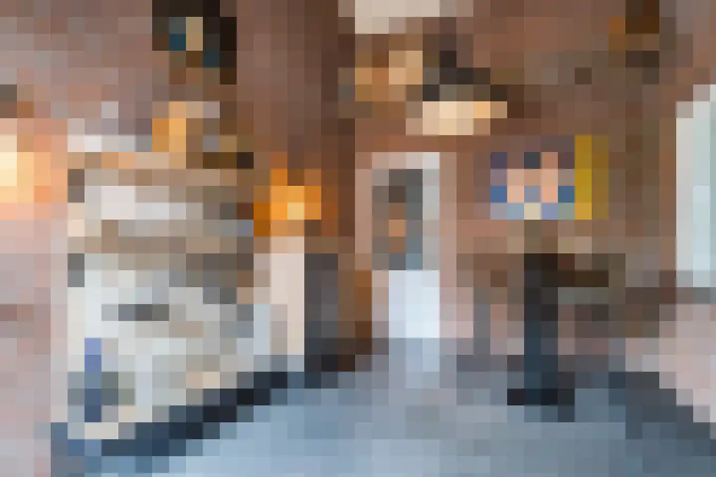 Molenweg 11 C Stramproy thumbnail 30