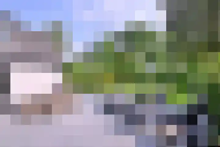 Molenweg 11 Gorssel thumbnail 34