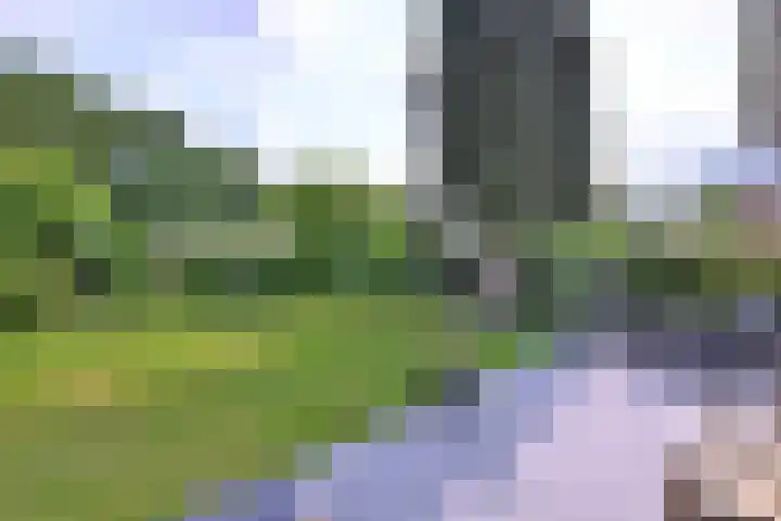 Molenweg 11 Gorssel thumbnail 35