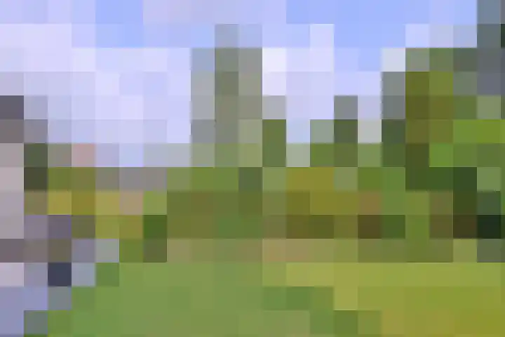 Molenweg 11 Gorssel thumbnail 36