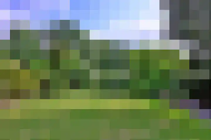Molenweg 11 Gorssel thumbnail 37