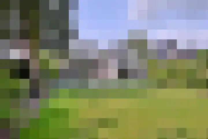 Molenweg 11 Gorssel thumbnail 38