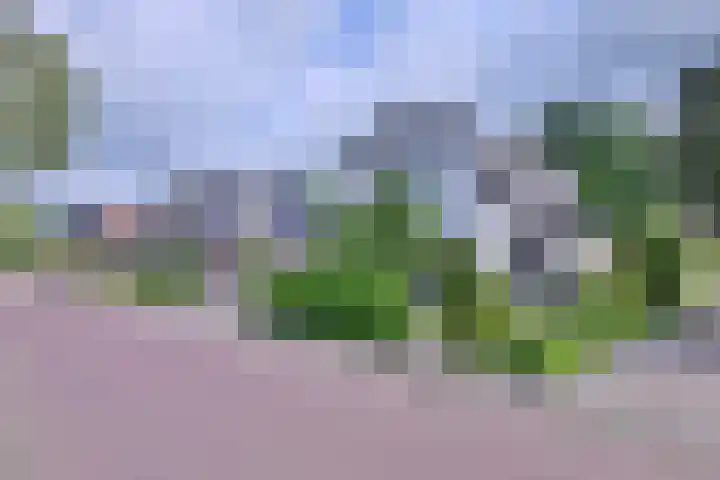Molenweg 11 Gorssel thumbnail 4