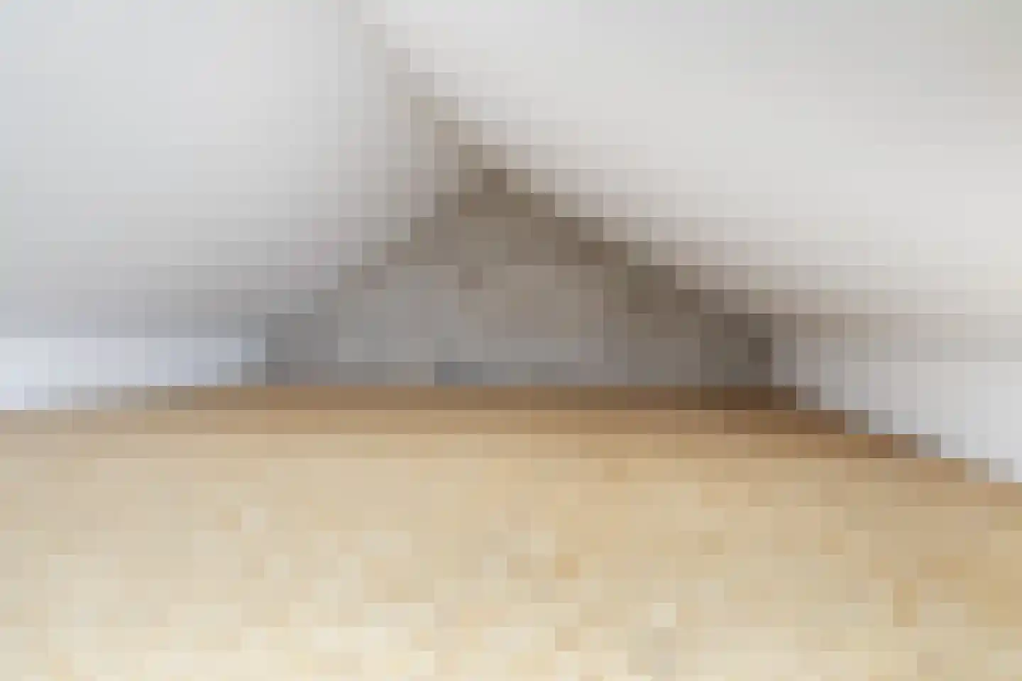 Molenweg 11 Nieuwehorne thumbnail 15