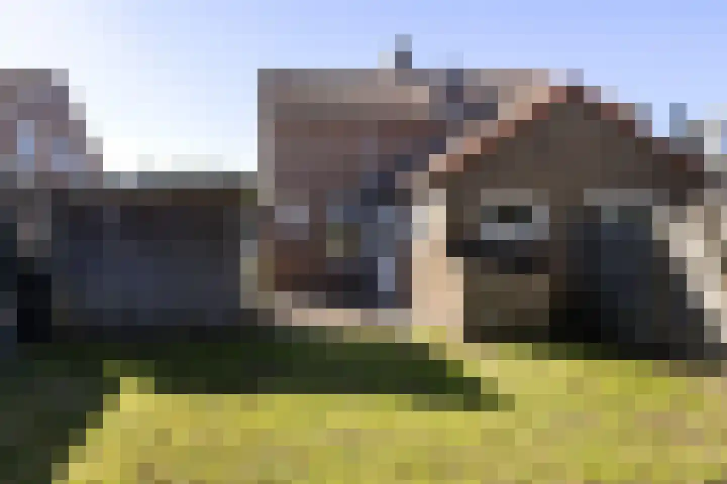 Molenweg 11 Nieuwehorne thumbnail 16