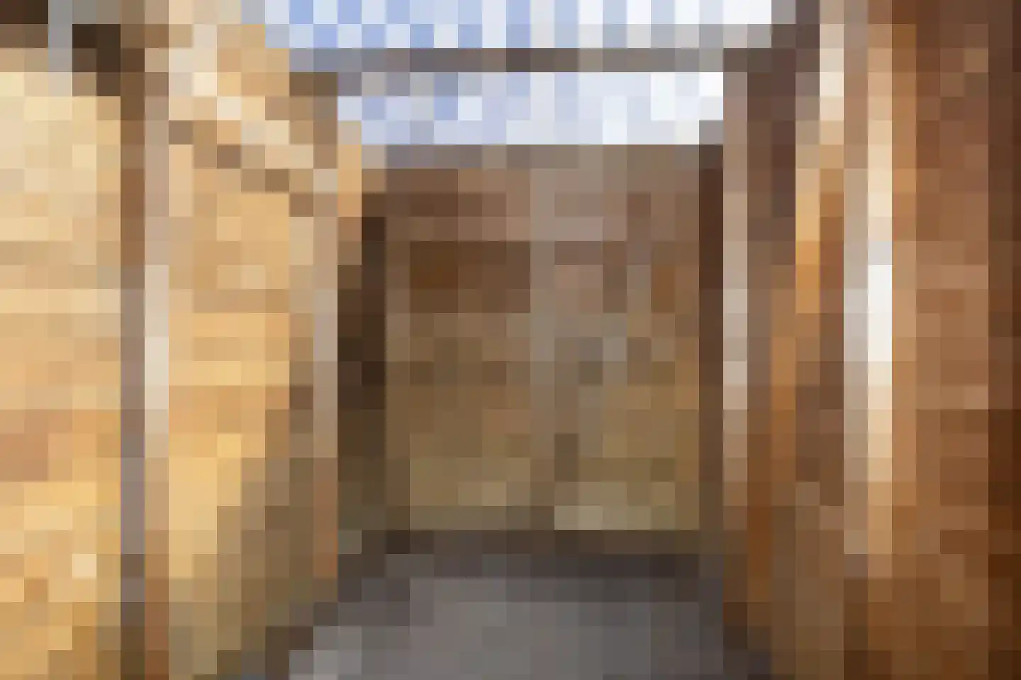 Molenweg 11 Nieuwehorne thumbnail 18