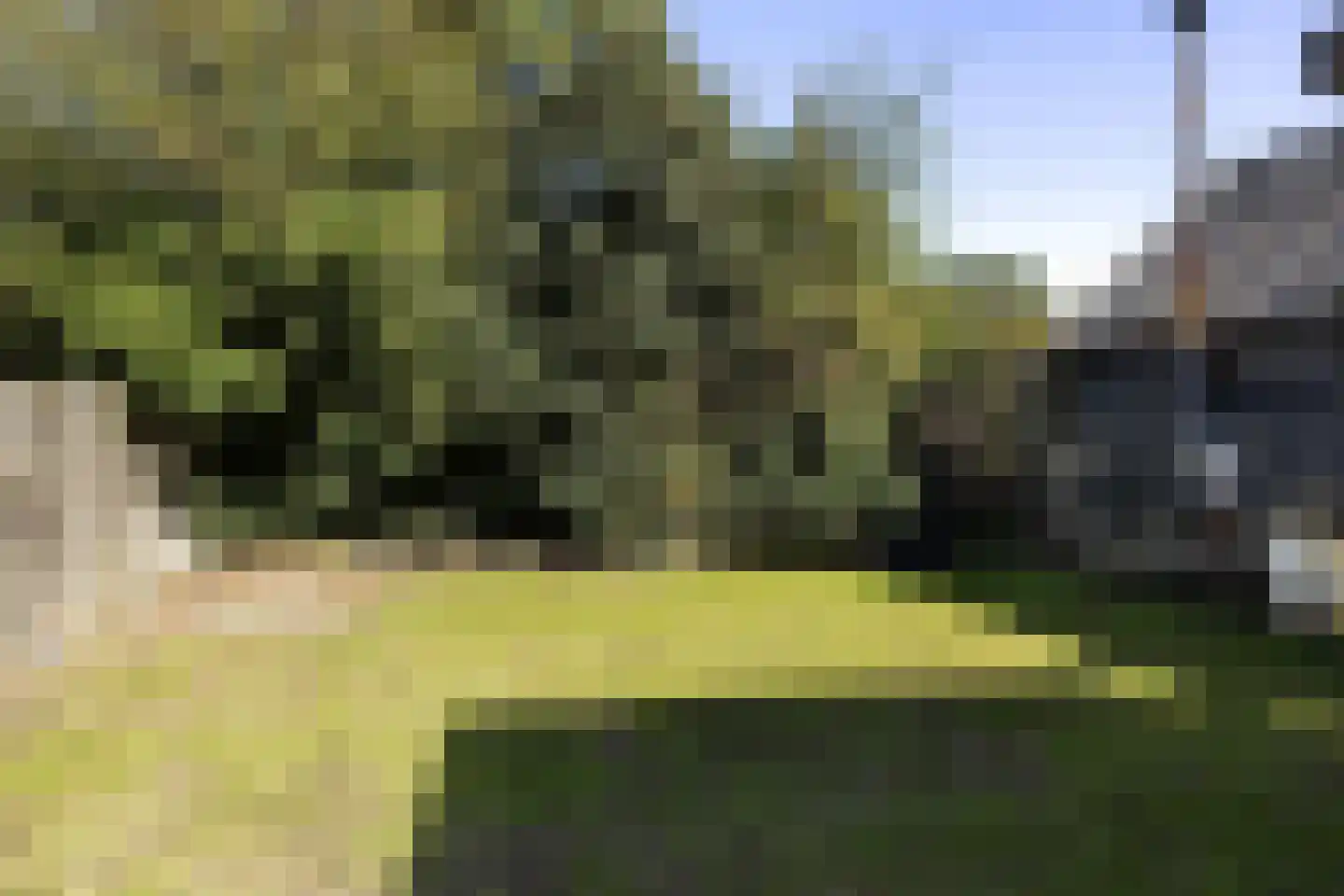 Molenweg 11 Nieuwehorne thumbnail 19