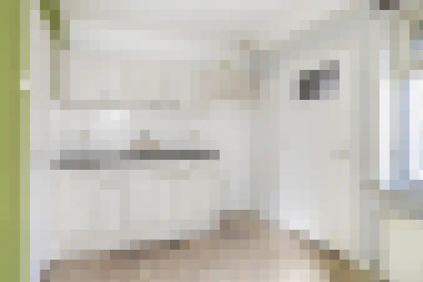 Molenweg 11 Nieuwehorne thumbnail 7