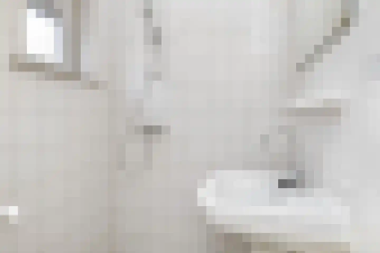 Molenweg 11 Nieuwehorne thumbnail 8