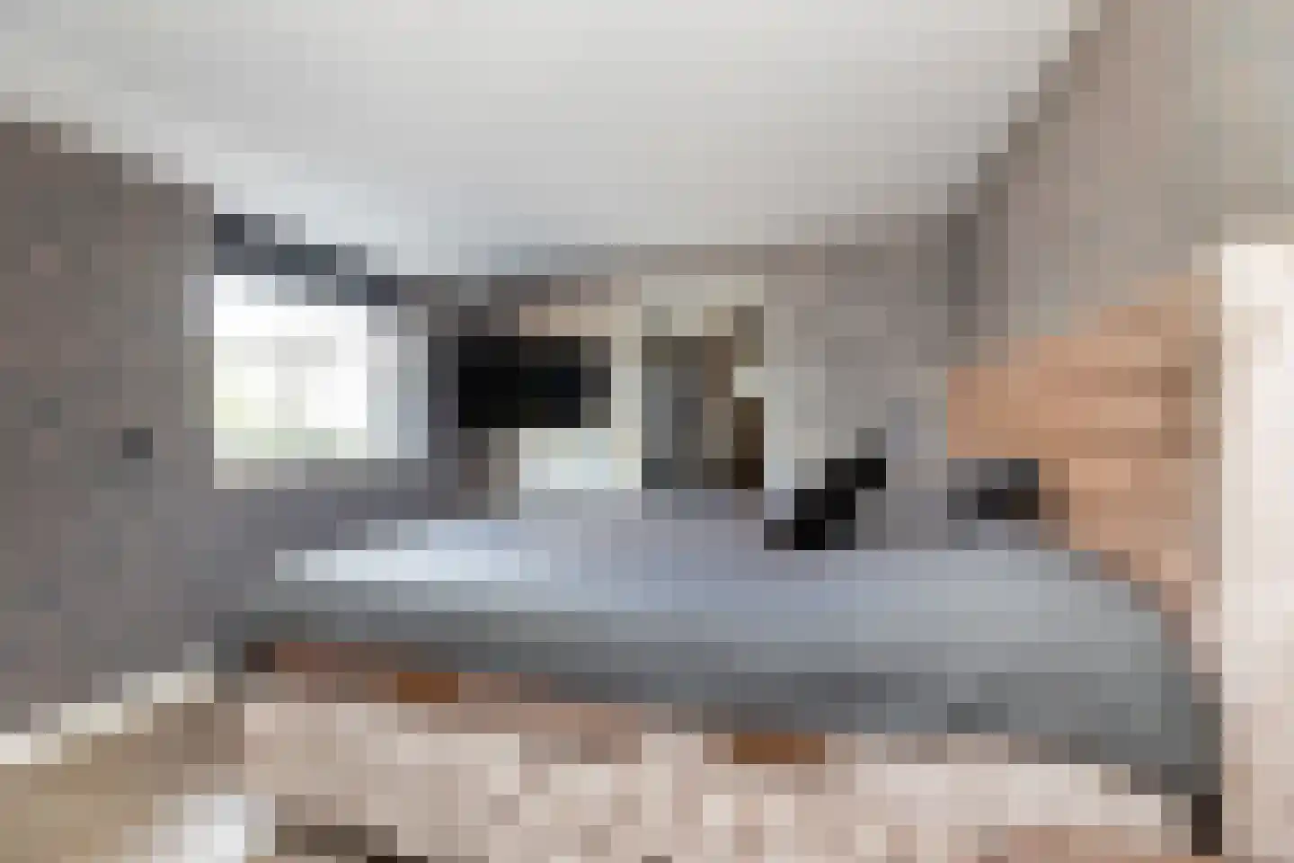 Molenweg 11 Wezep thumbnail 21