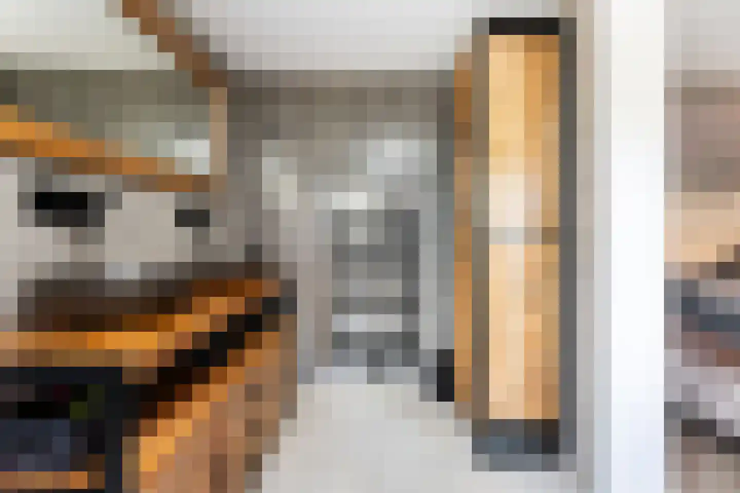 Molenweg 11 Wezep thumbnail 24