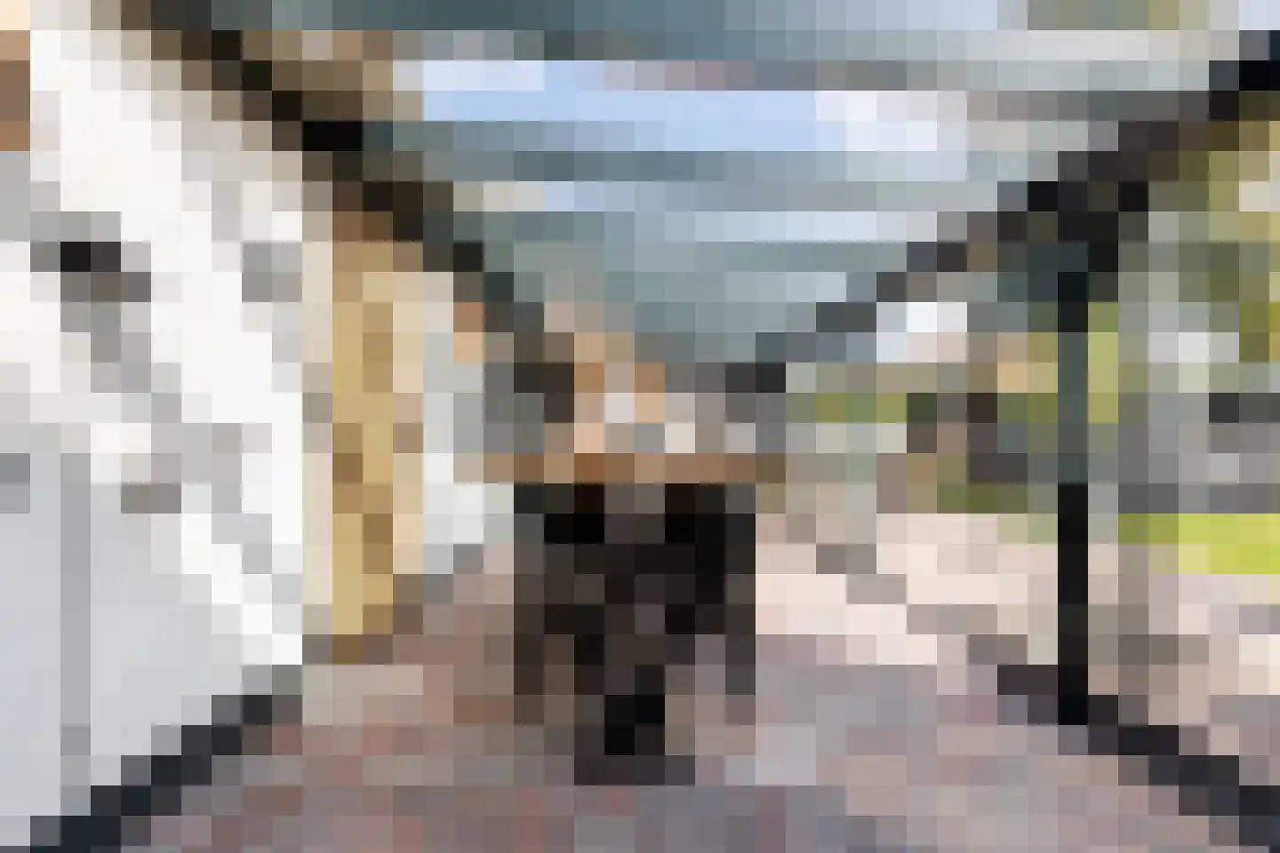 Molenweg 11 Wezep thumbnail 25