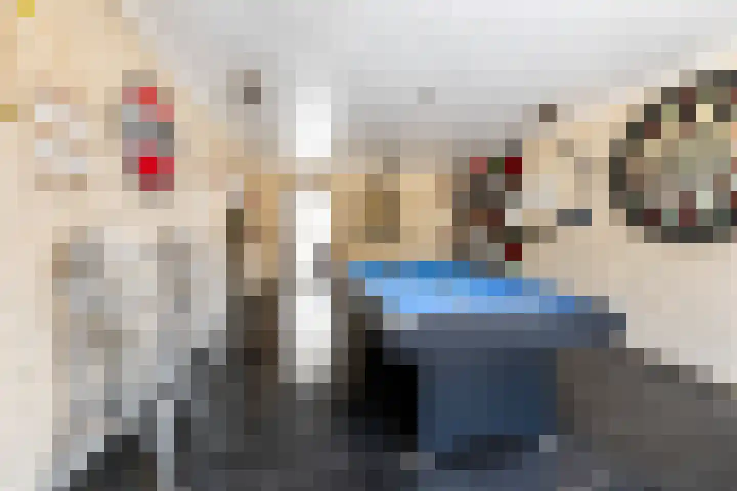 Molenweg 11 Wezep thumbnail 31