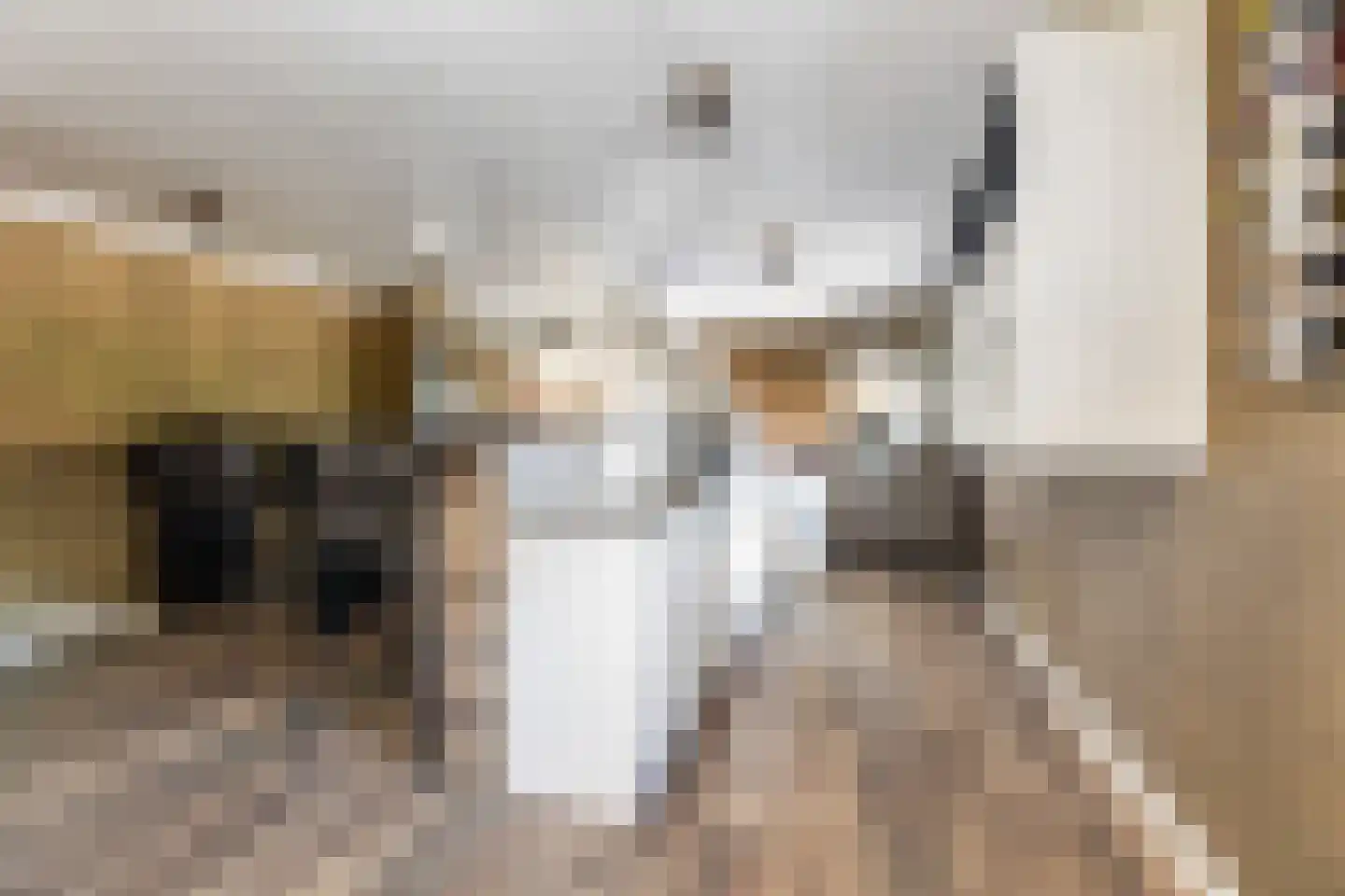 Molenweg 11 Wezep thumbnail 33