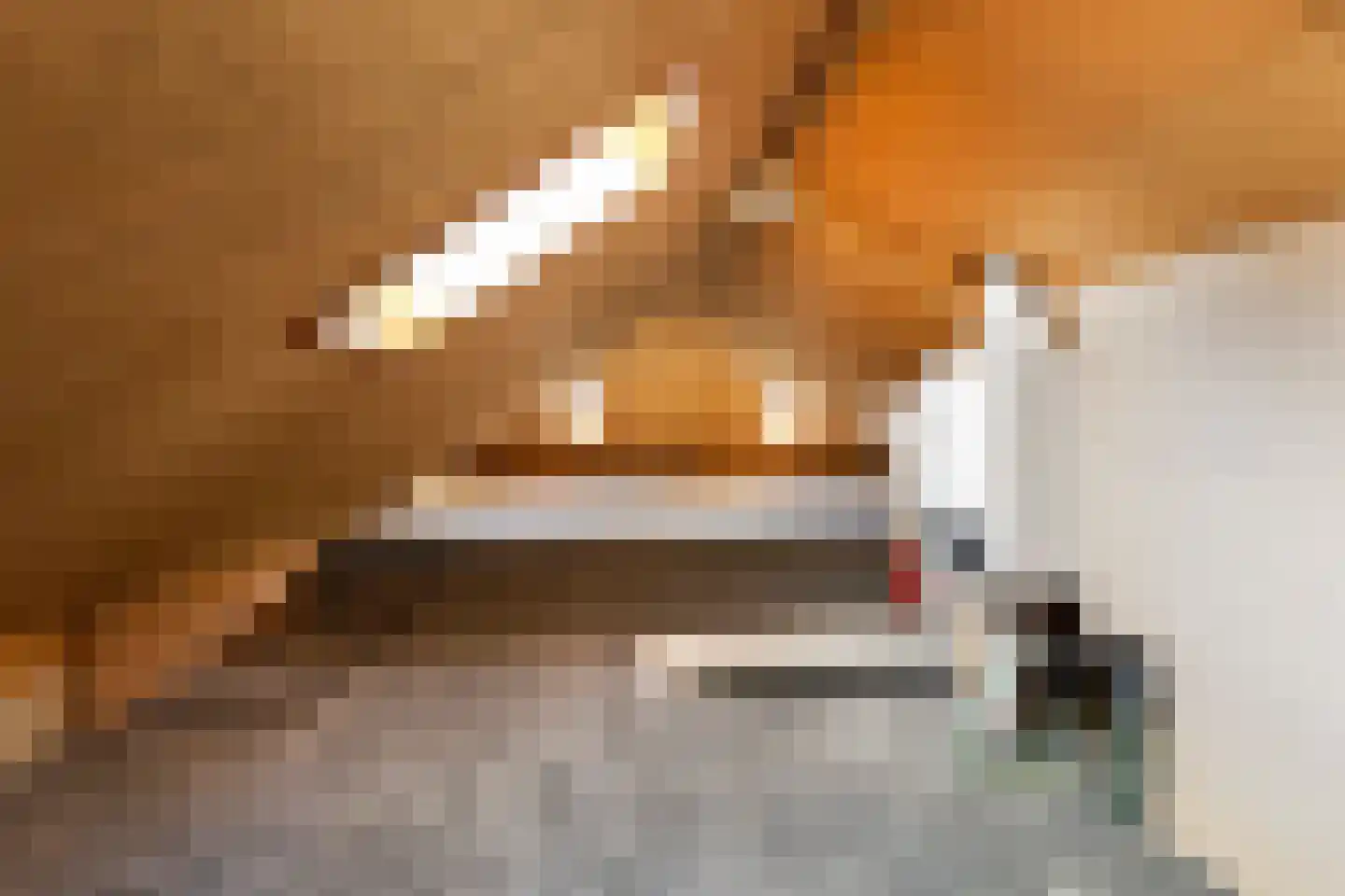 Molenweg 11 Wezep thumbnail 37