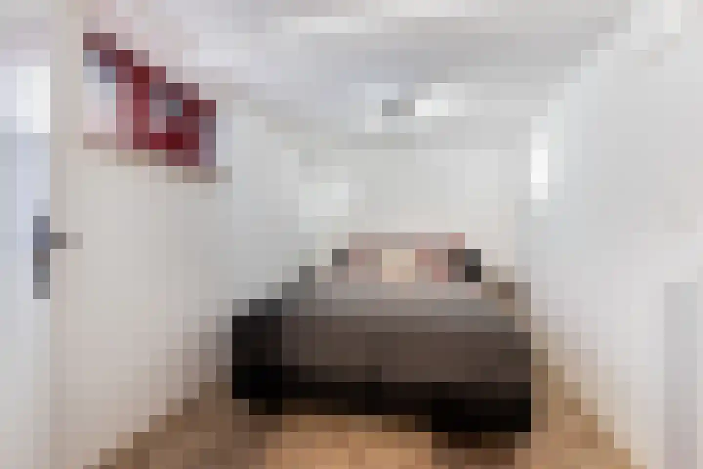 Molenweg 11 Wezep thumbnail 57