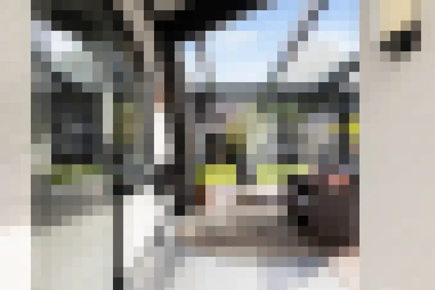 Molenweg 11 Wezep thumbnail 7