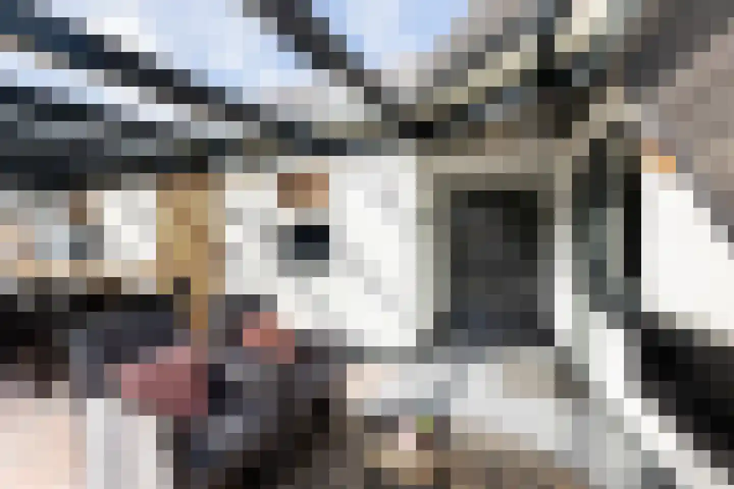 Molenweg 11 Wezep thumbnail 8
