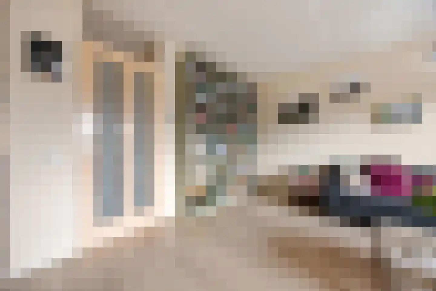 Molenweg 111 D Nijmegen thumbnail 9
