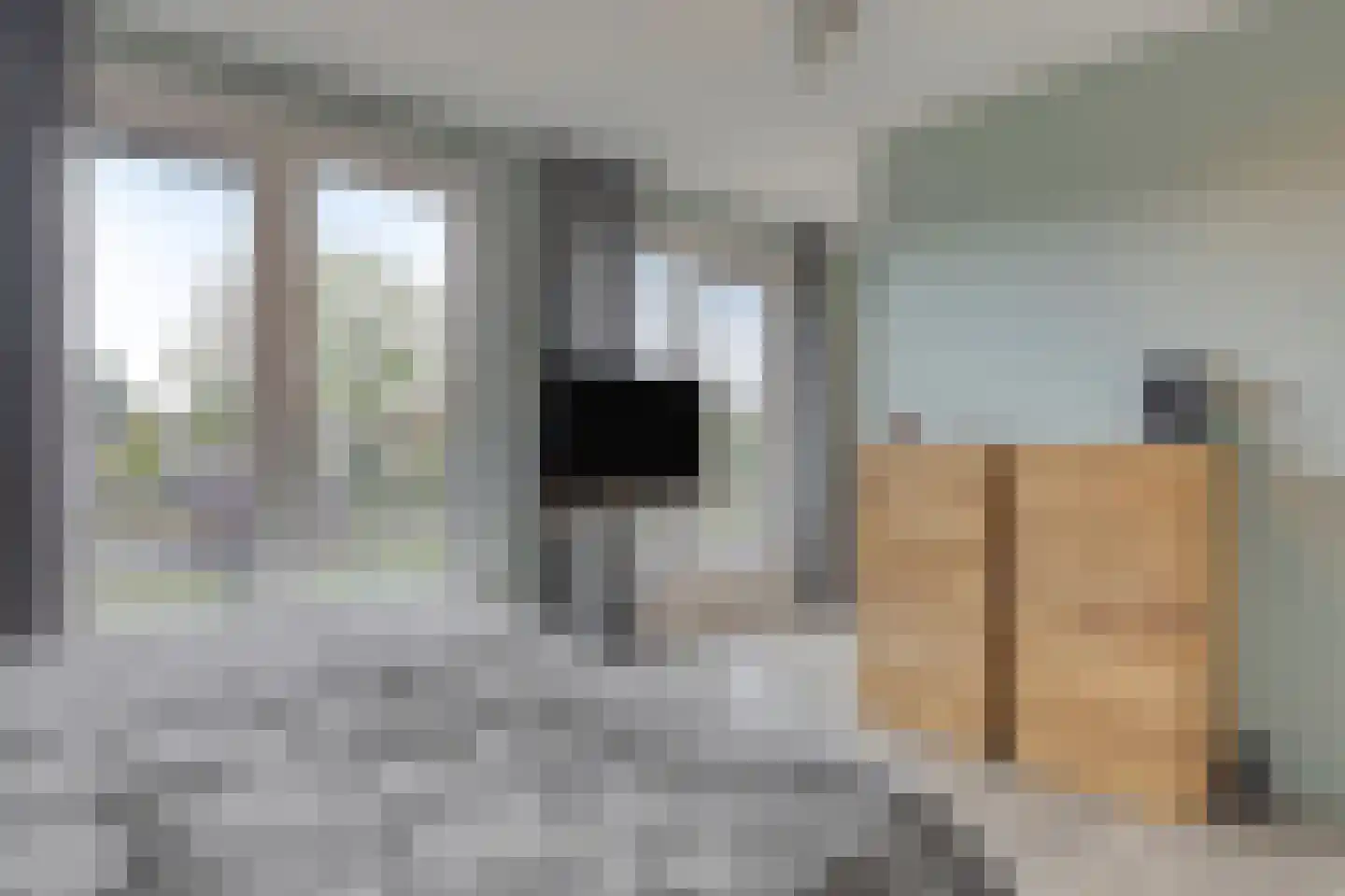 Molenweg 117 Steenbergen thumbnail 22