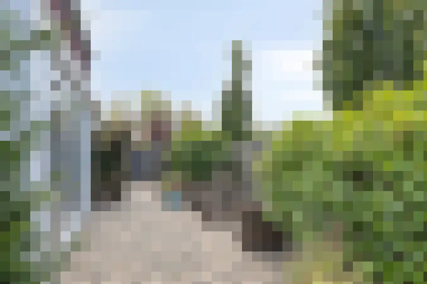 Molenweg 117 Steenbergen thumbnail 47