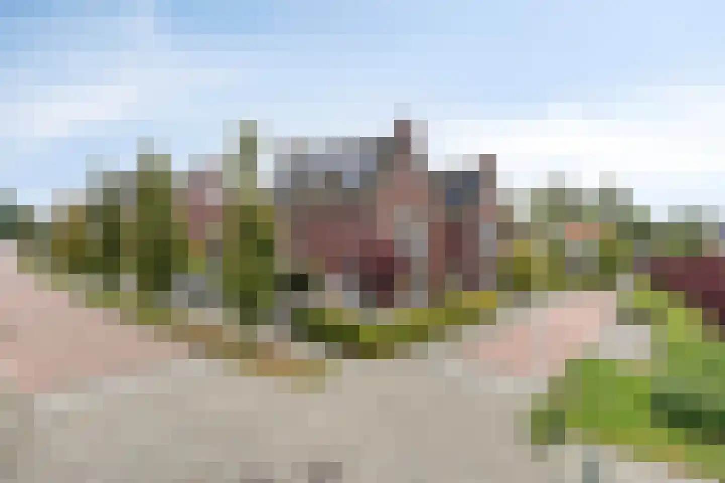 Molenweg 117 Steenbergen thumbnail 51