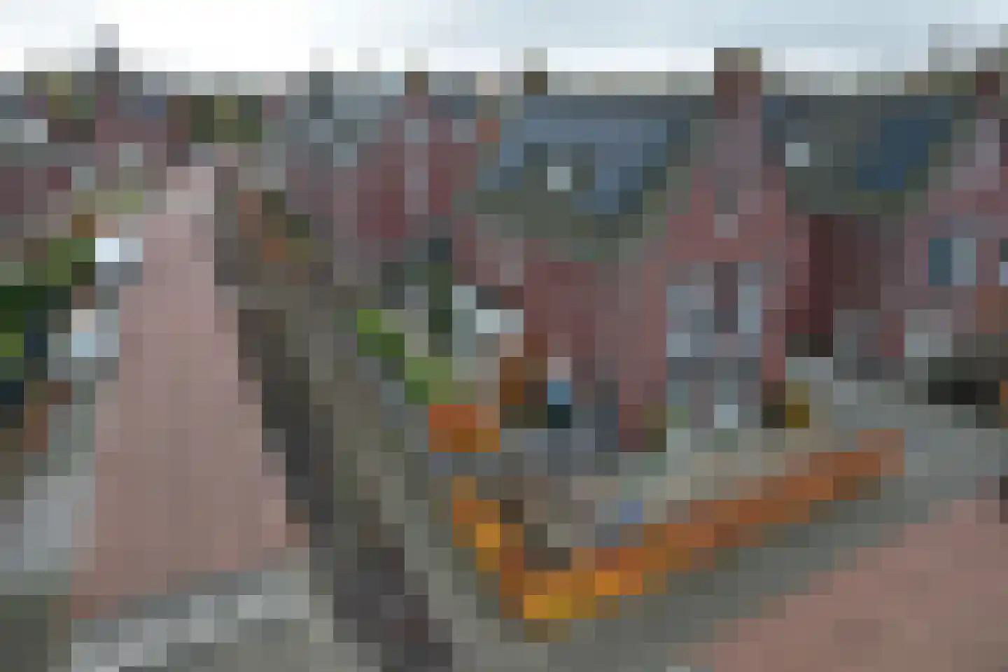 Molenweg 117 Steenbergen thumbnail 63