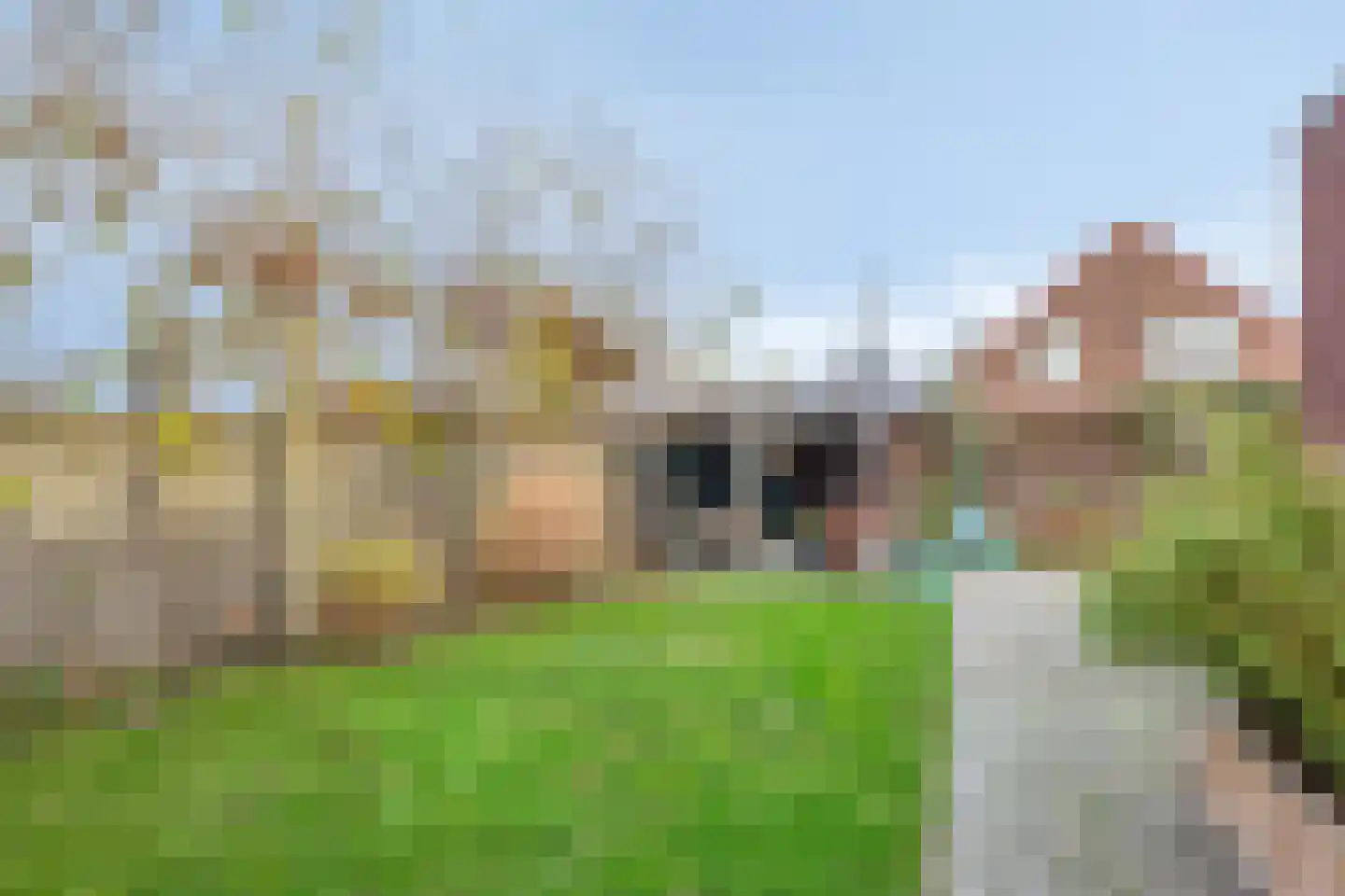 Molenweg 119 Steenbergen thumbnail 42