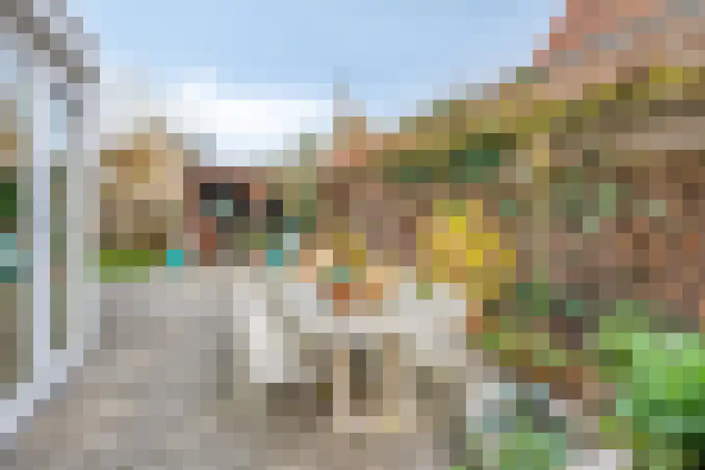 Molenweg 119 Steenbergen thumbnail 45